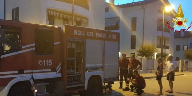 Padova, cane finisce in un tombino di scarico lo salvano i Vigili del Fuoco