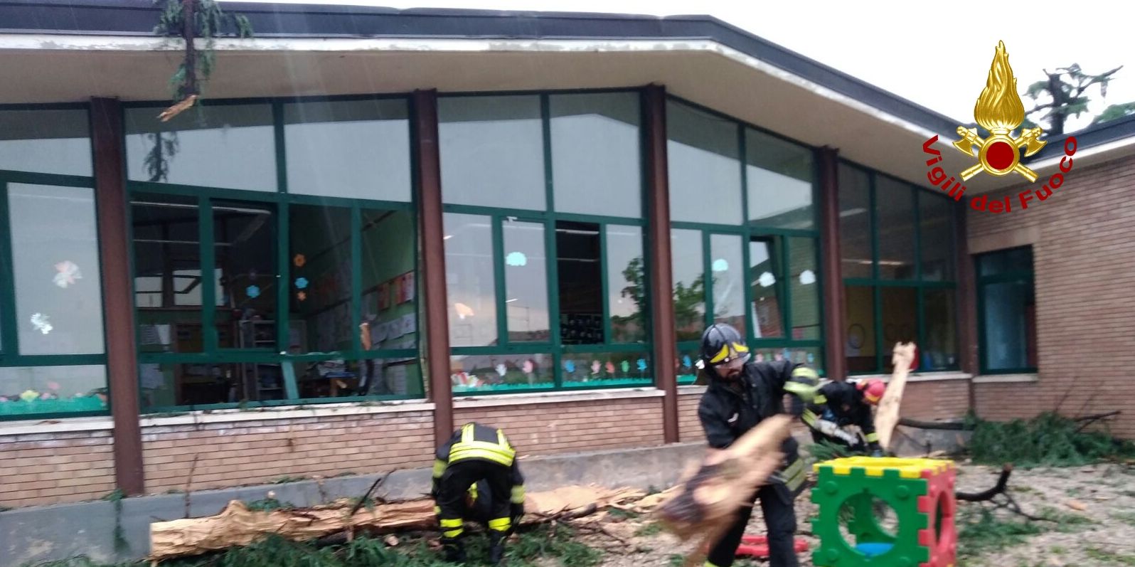 Vicenza, fulmine colpisce un cedro che si abbatte sulle vetrate di un asilo