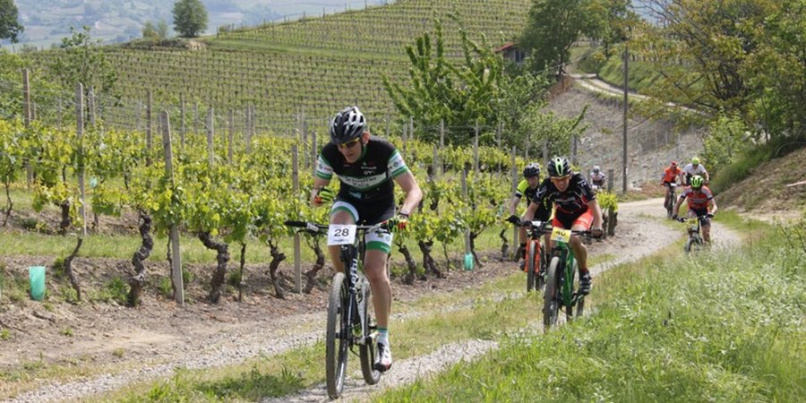 Immagine di repertorio