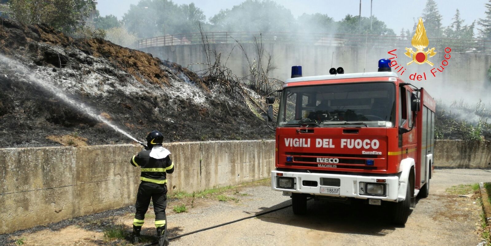 Catanzaro, incendio sterpaglie a ridosso del centro abitato di Centrache