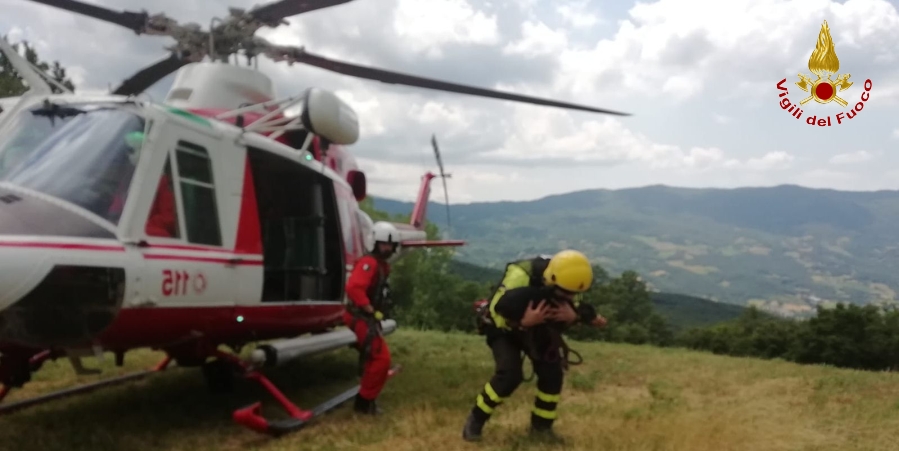 Reggio Emilia, salvato un cane bloccato su una parete rocciosa dell'Appennino