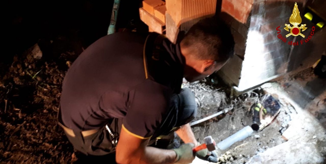 Lucca, i Vigili del Fuoco salvano un gattino finito in un tubo di scarico delle acque