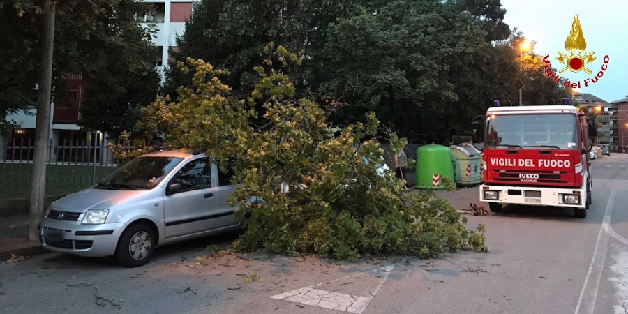 Verona, numerosi interventi dei Vigili del Fuoco a causa del maltempo