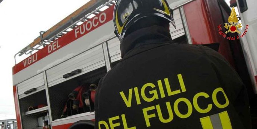 Varese, soccorso un giovane cervo nel comune di Valganna
