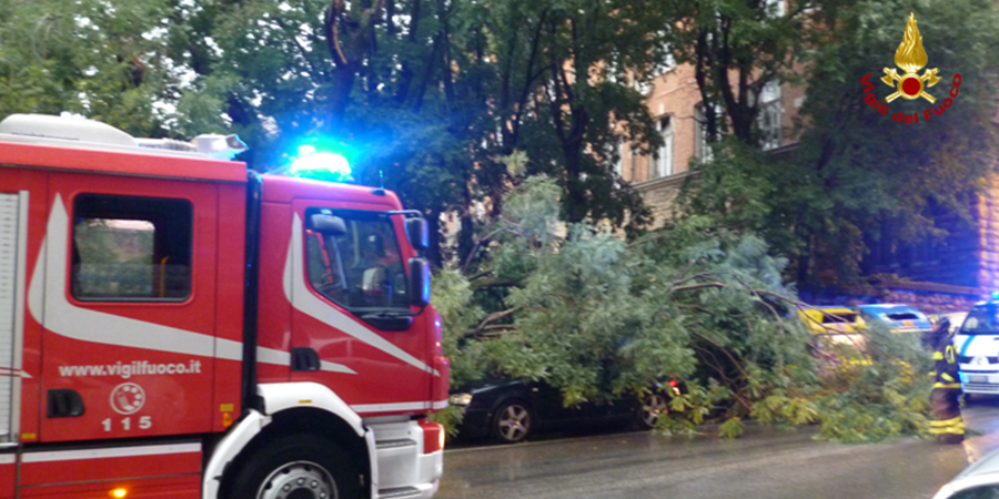 immagine di repertorio