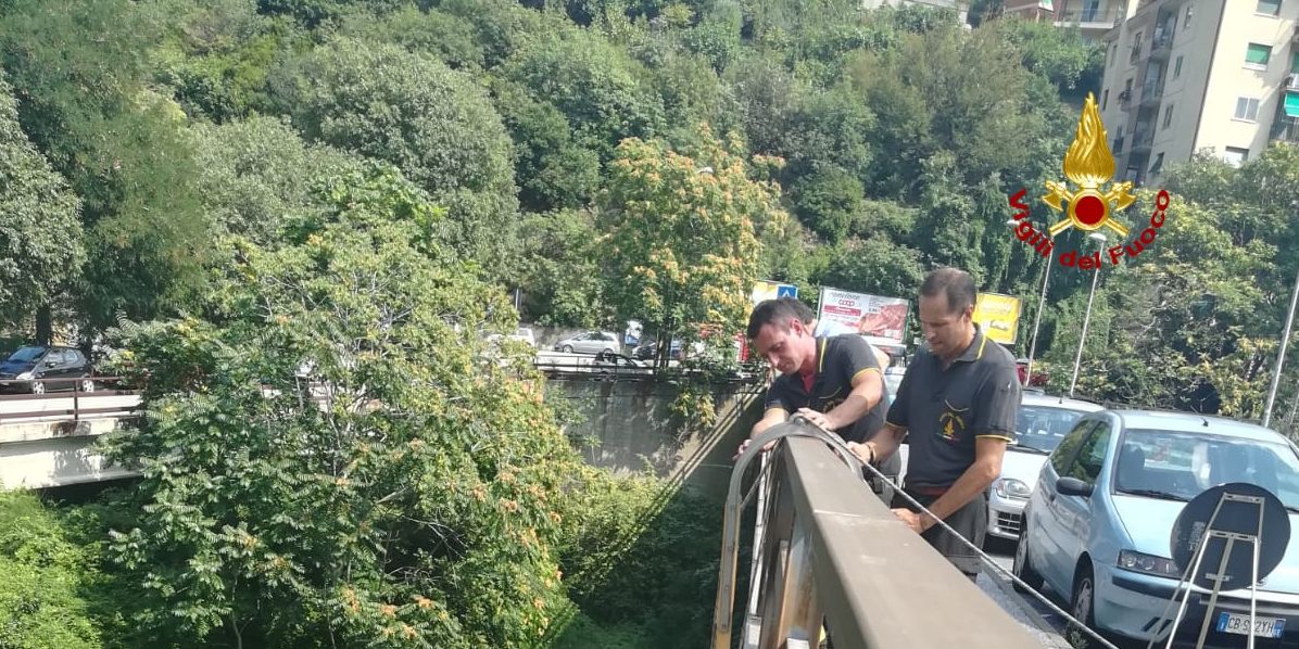 Genova, effettuata verifica al ponte del Legaccio
