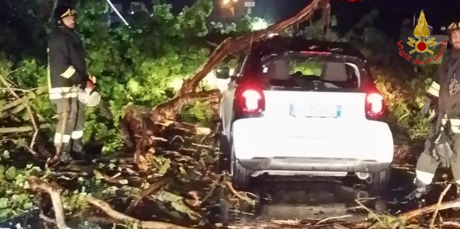 Roma, diversi interventi dei Vigili del Fuoco causa maltempo