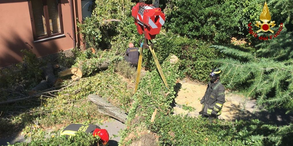 Trieste, rimosso un grosso albero caduto sul tetto di una palazzina
