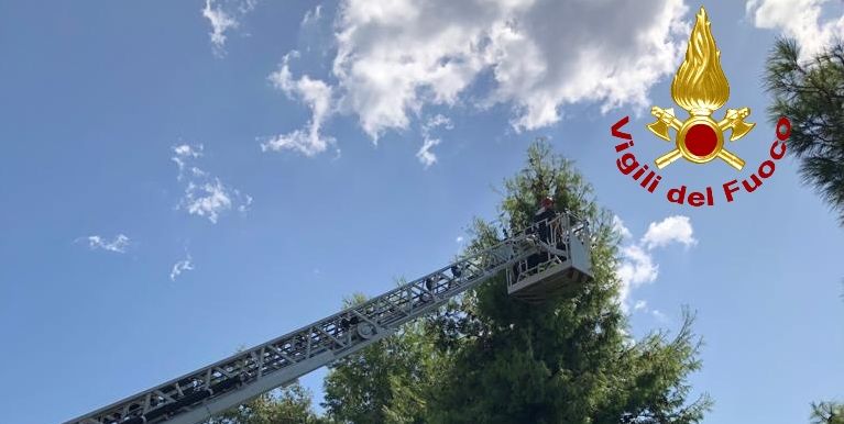 Catanzaro, portato in salvo un volatile nel comune di Mascali