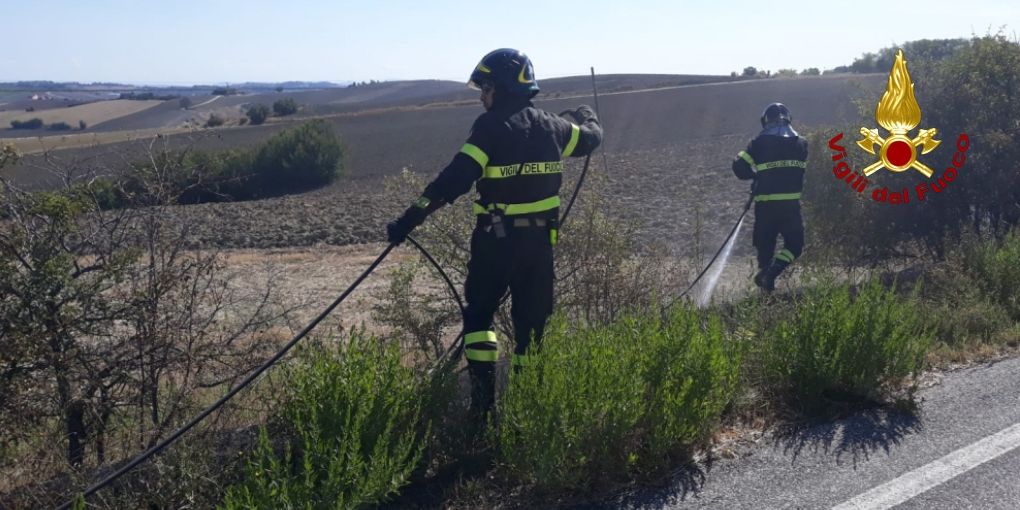Ancona, incendio vegetazione e sterpaglie nel comune di Jesi