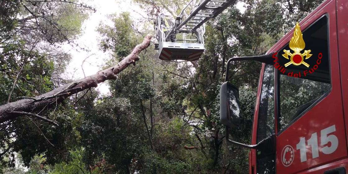 Ancona, diversi interventi dei Vigili del Fuoco a causa del maltempo che ha interessato tutta la provincia