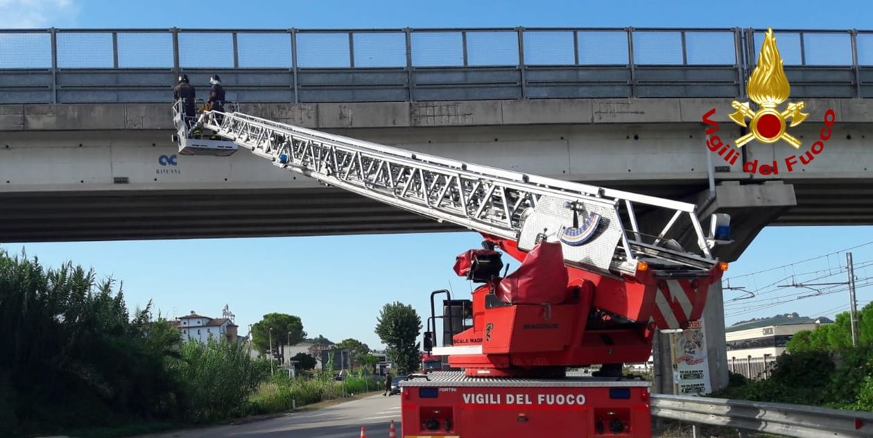 Ancona, verifica di due ponti da parte dei Vigili del Fuoco