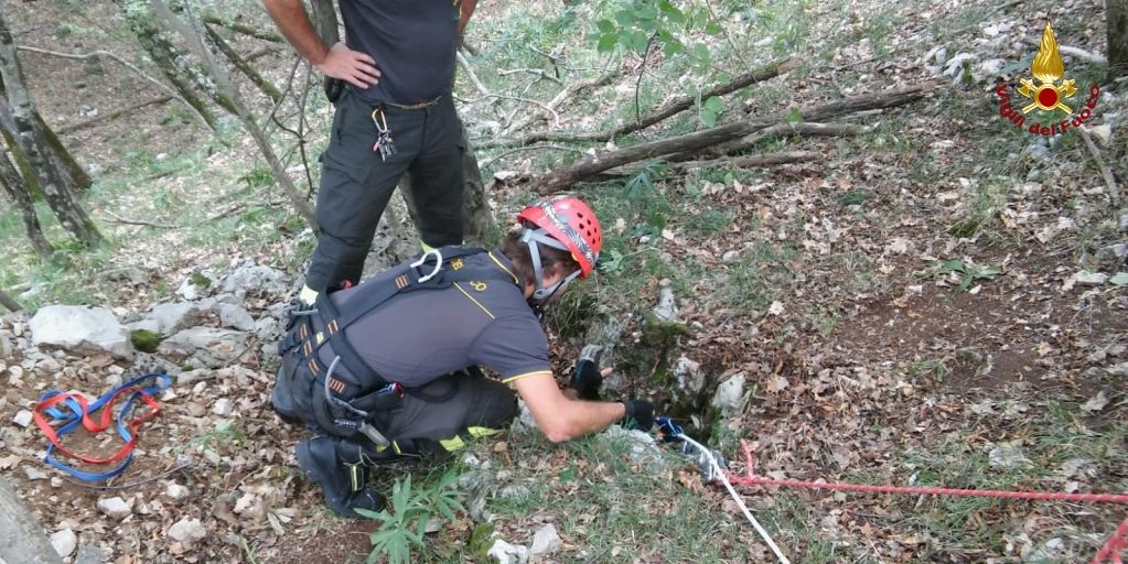 Trieste, i Vigili del Fuoco portano in salvo un cane