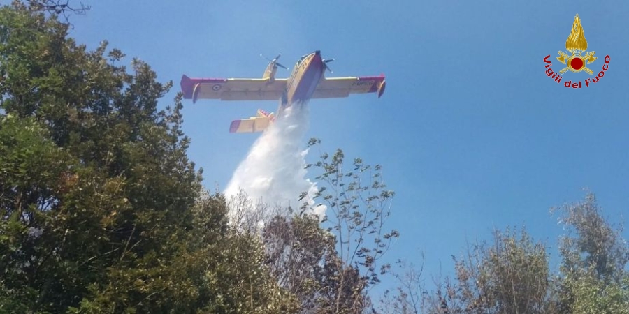 Savona, incendio bosco nella frazinoe di Alpicella