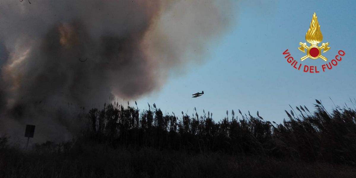 Lecce, vasto incendio di macchia mediterranea a pineta