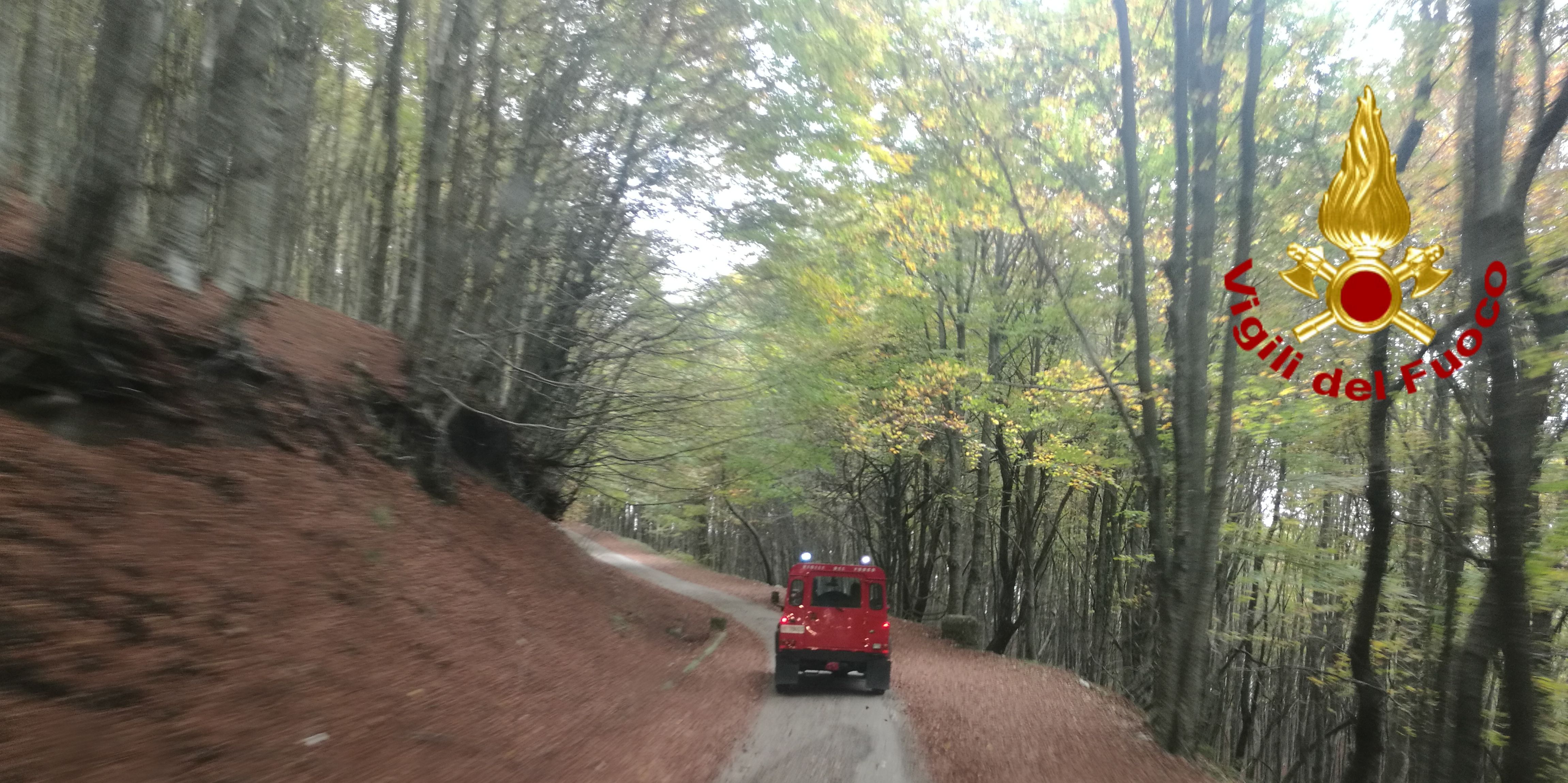 Avellino, uomo si perde nei boschi del Partenio salvato dai Vigili del Fuoco