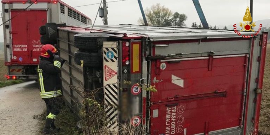 Ancona, recuperato e riposizionato sul manto stradale autotreno incidentato