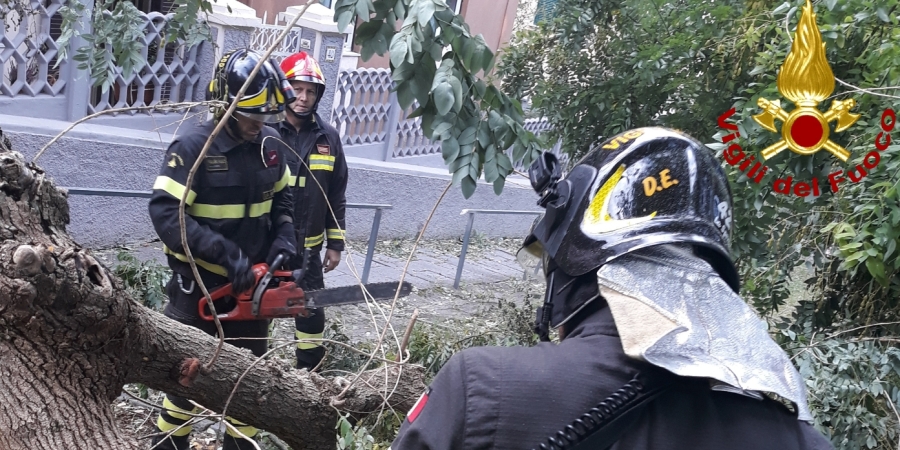 La Spezia, prosegue l'attività di soccorso a seguito dell'ondata di maltempo