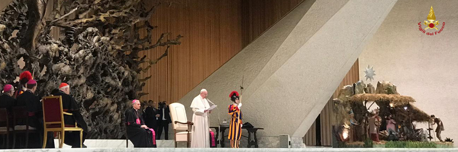Il Papa riceve gli appartenenti al sistema della Protezione Civile