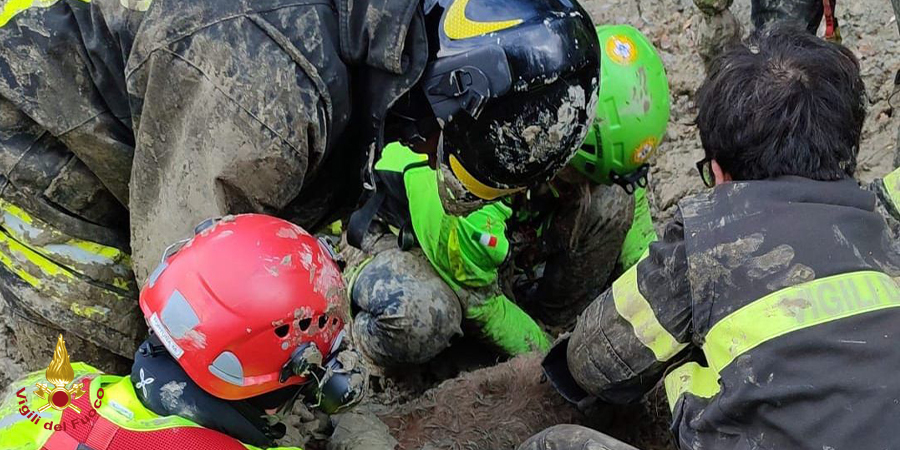 Immagine di sfondo Immagine di sfondo