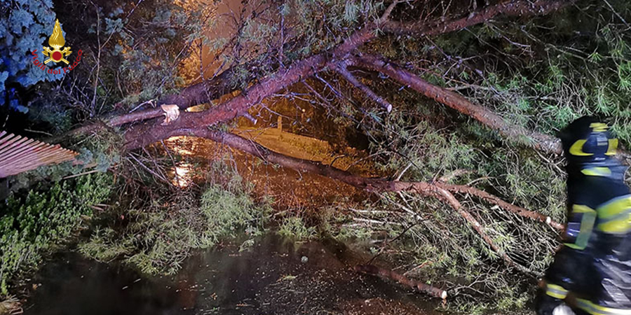 Immagine di sfondo Immagine di sfondo