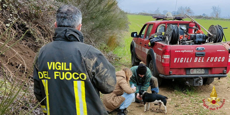 Terni, salvato Jack Russel