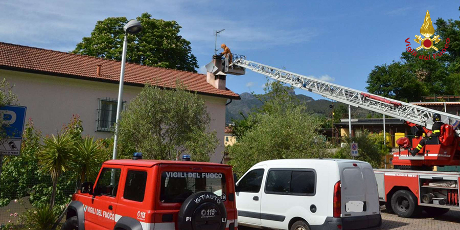 Genova, rimozione e salvaguardia un favo di api