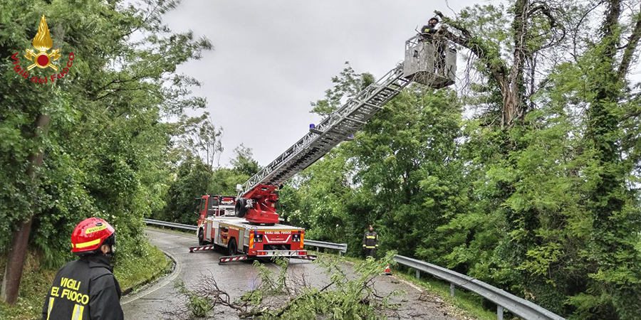 Friuli Venezia Giulia, interventi per forte vento