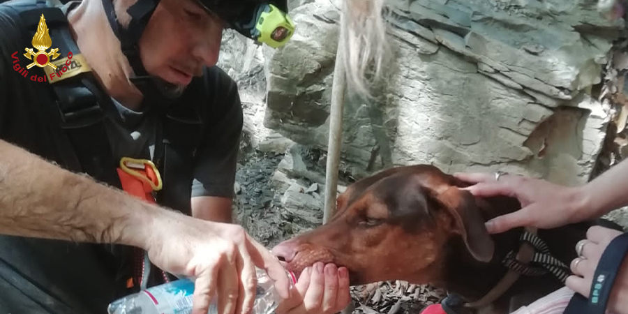 Genova, soccorso cane