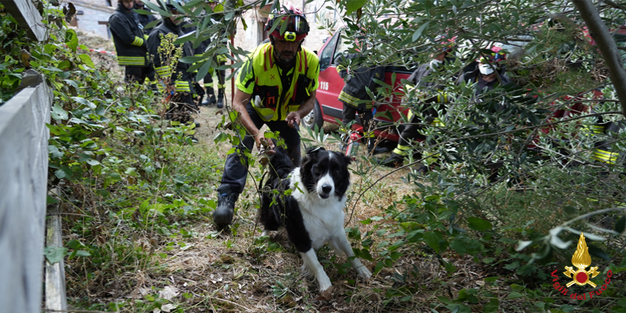 Marche, esercitazione di Colonna Mobile Regionale Vigili del Fuoco