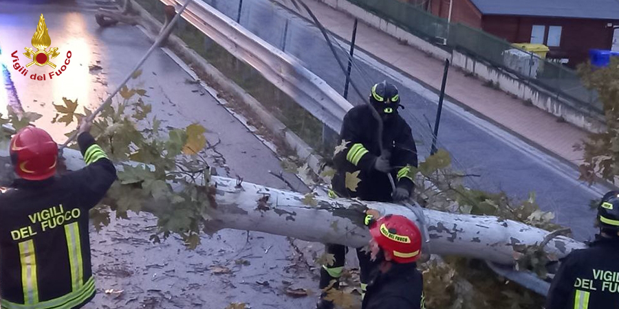 Ancona, interventi per forte vento