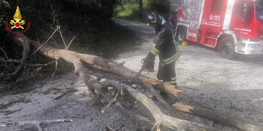 Interventi per forte vento nelle Marche