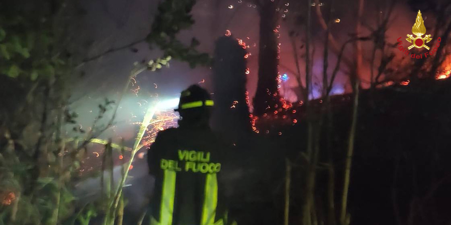 Ascoli Piceno, incendio nel vivaio