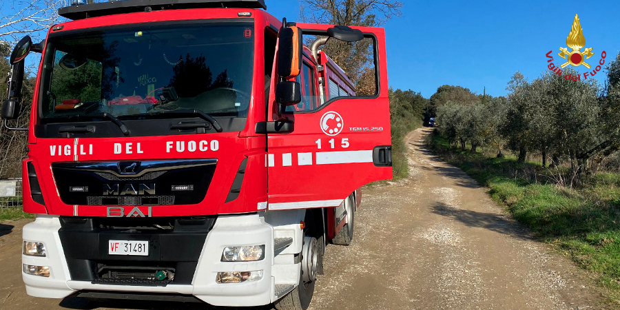 Immagine di sfondo Immagine di sfondo