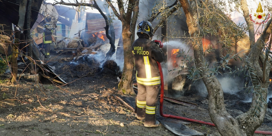 Avellino, incendio capanno agricolo
