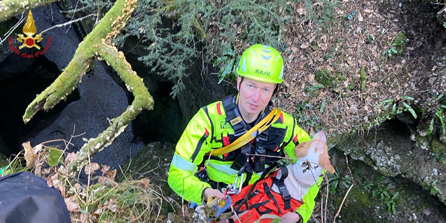 Udine, soccorso cane caduto in una forra