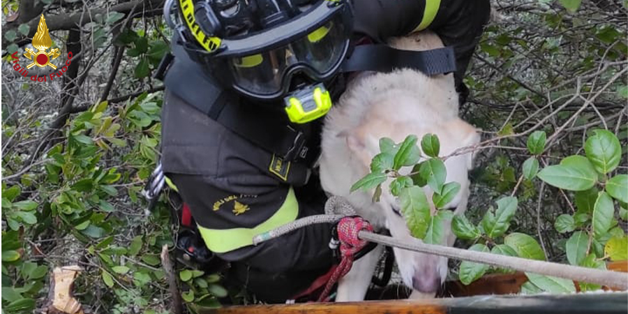 Genova, cane e padrone bloccati in una scarpata soccorsi dai Vigili del fuoco