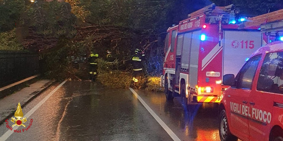 Genova, rimozione alberi caduti