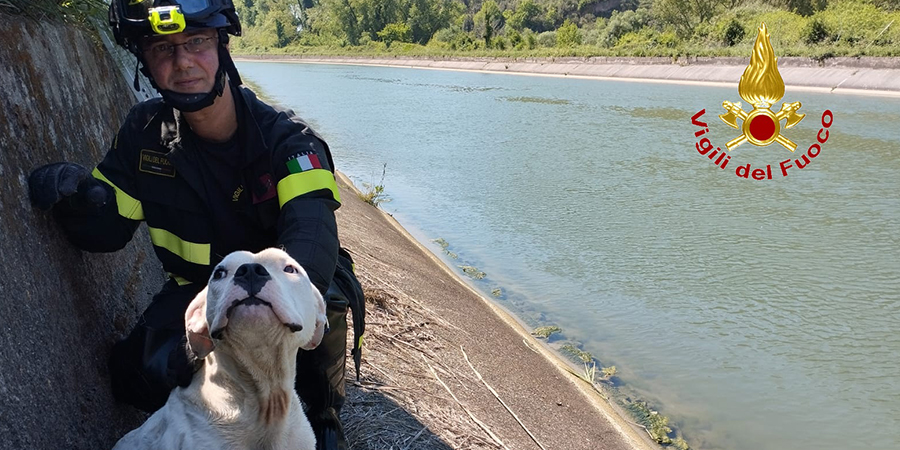 Immagine di sfondo Immagine di sfondo