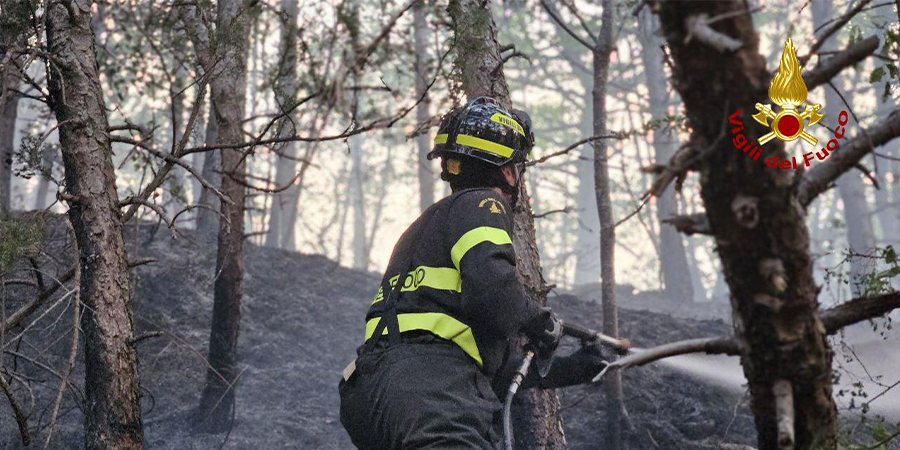 Forlì-Cesena, bosco di Santa Sofia in fiamme Forlì-Cesena, bosco di Santa Sofia in fiamme