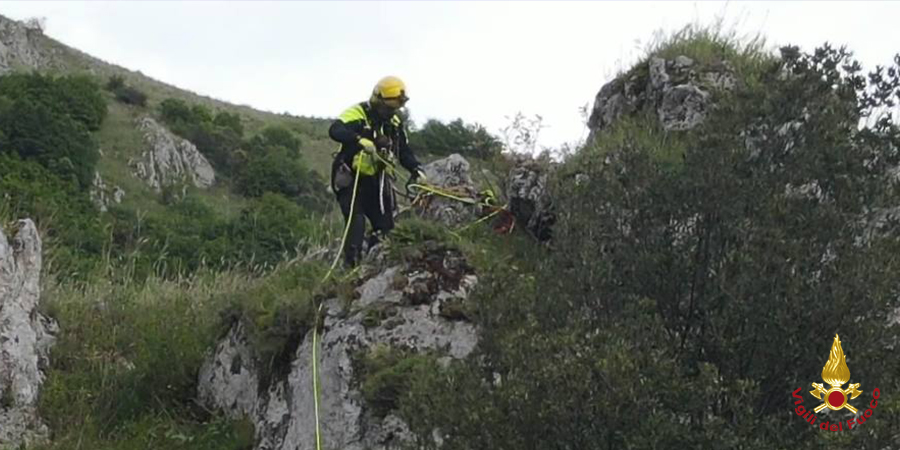 Potenza, recuperato cane nel territorio di Balvano
