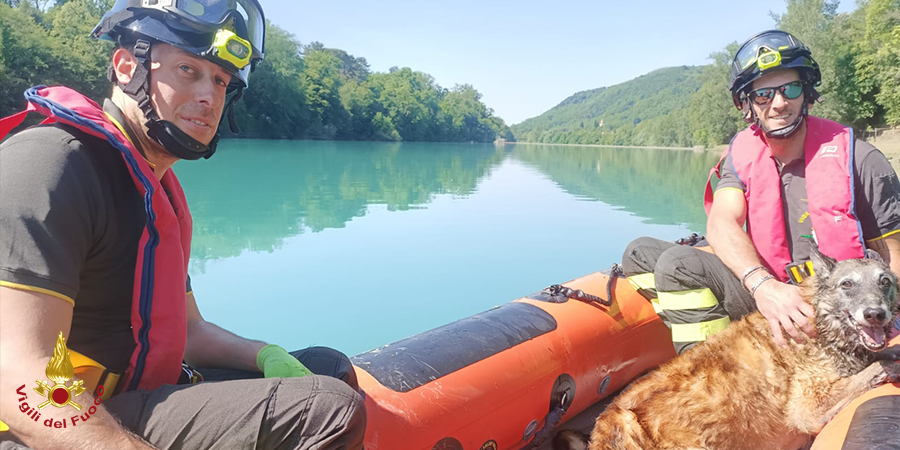 Gorizia, salvato cane caduto nel fiume Isonzo
