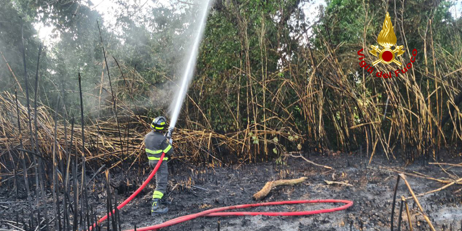 Ancona, vegetazione in fiamme a Falconara Marittima