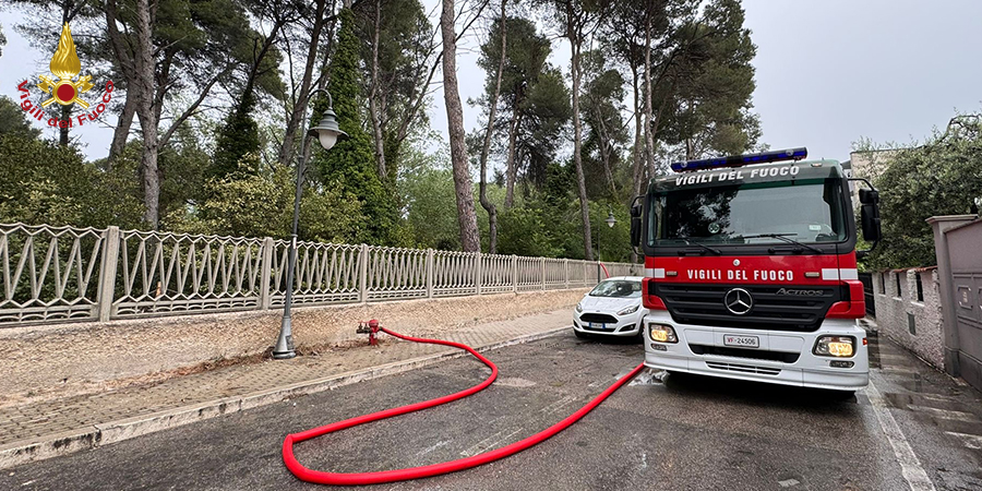 Pescara, incendio pineta
