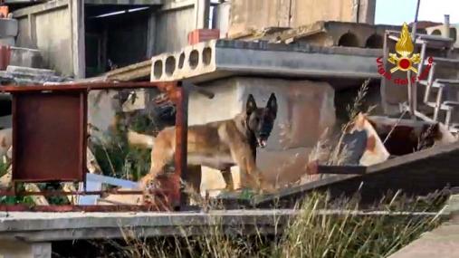 Direzione Regionale Vigili del Fuoco Sardegna Nucleo Cinofilo