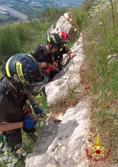 Giornate di addestramento per il personale SAF