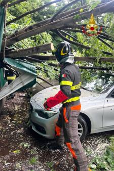 Albero pericolante - Borgosesia (VC)