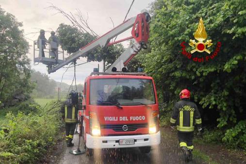 Albero pericolante - Quarona (VC)