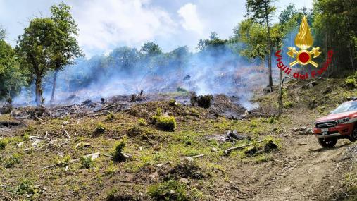 Bosco in fiamme in località Forca: Vigili del fuoco sul posto