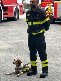 Va in pensione Foglia, il cane Vigile del fuoco di Prato